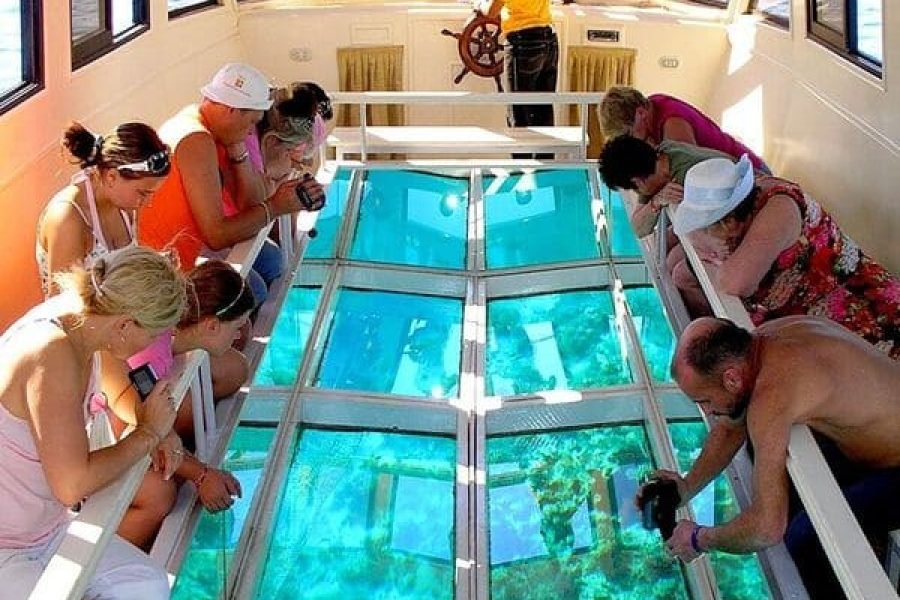 sharm-el-sheyh-ekskursiya-lodka-so-steklyannym-dnom